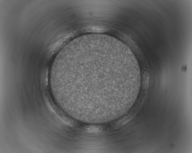 X0000115070358200912081153