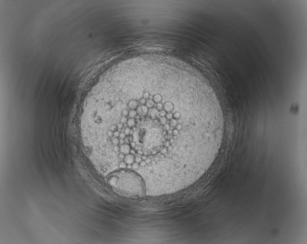 X0000115070359200912081153