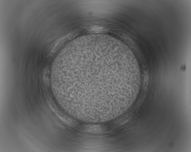 X0000115070361200912081153