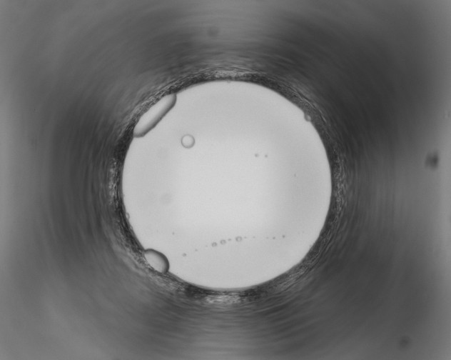 X0000115070362200912081153