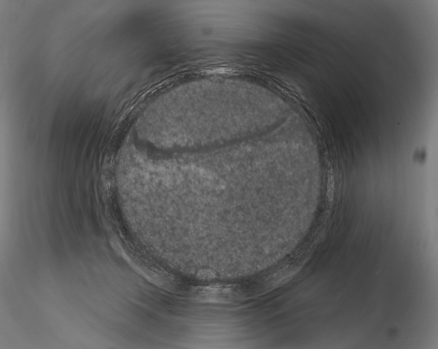 X0000115070366200912081153