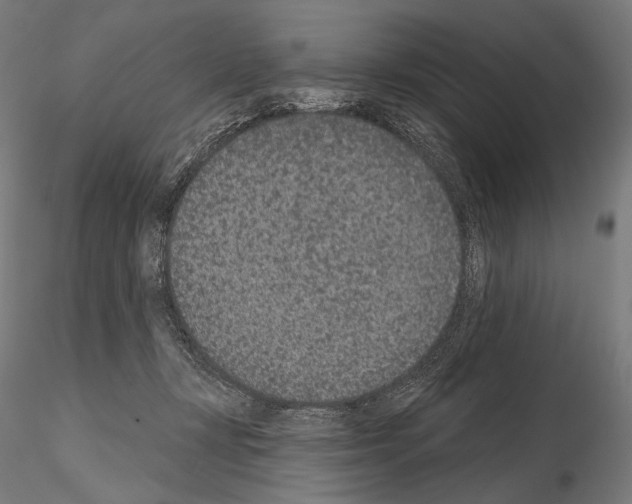 X0000115070367200912081153