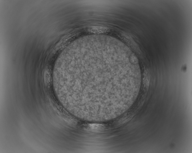 X0000115070371200912081153