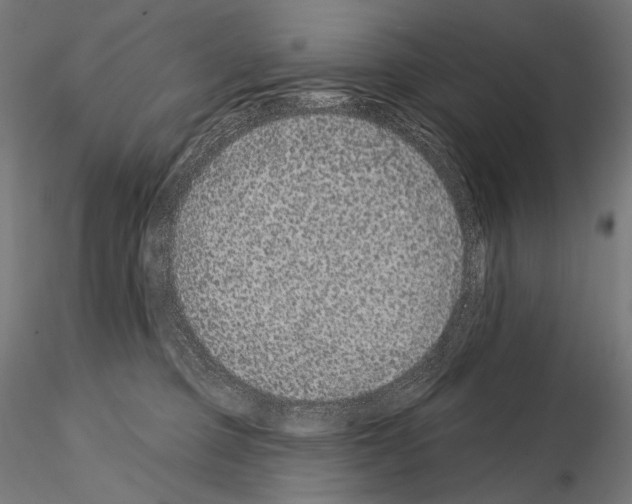 X0000115070373200912081153