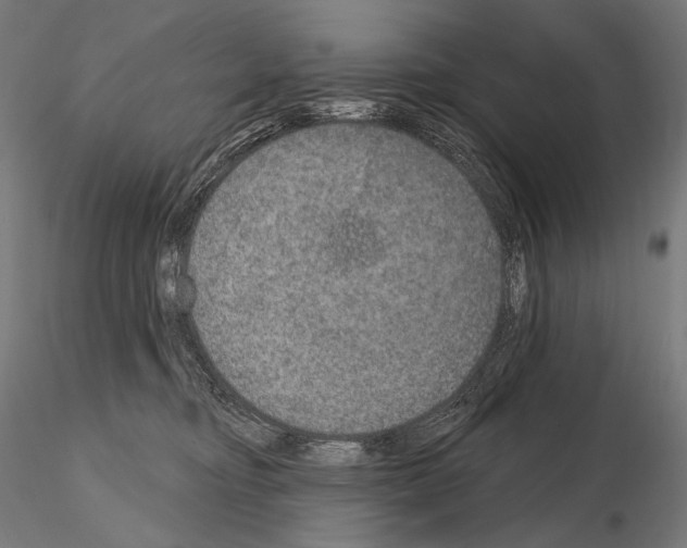 X0000115070374200912081153