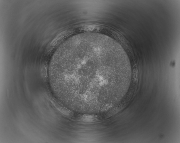 X0000115070375200912081153