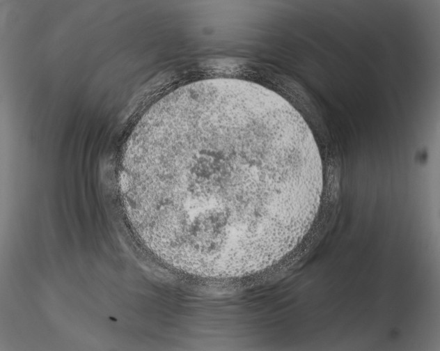 X0000115070377200912081153