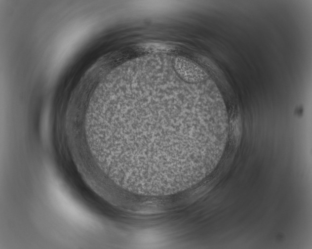 X0000115070381200912081153