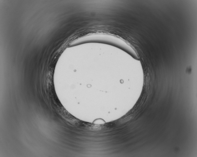 X0000115070382200912081153