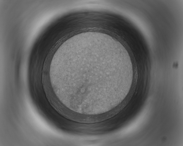 X0000115070383200912081153