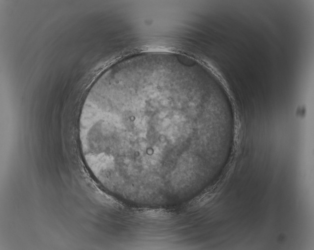 X0000115070385200912081153