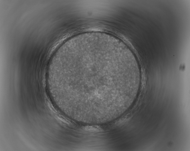 X0000115070386200912081153