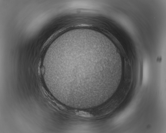 X0000115070387200912081153