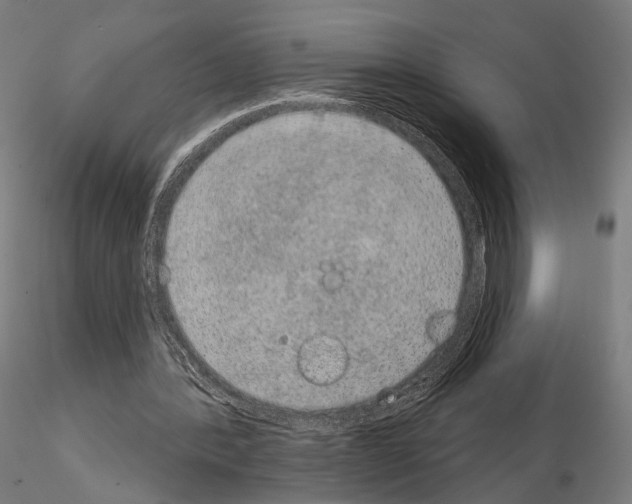 X0000115070388200912081153