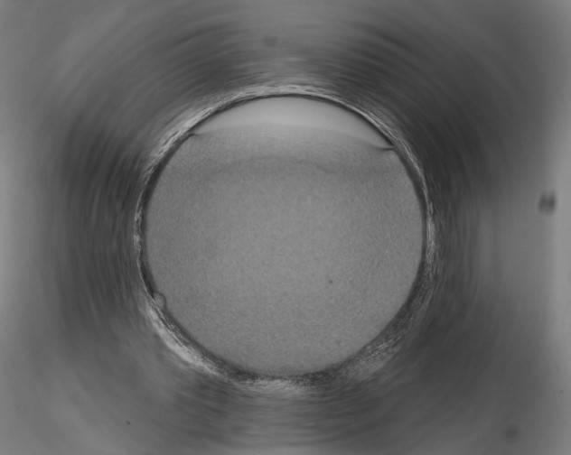 X0000115070389200912081153