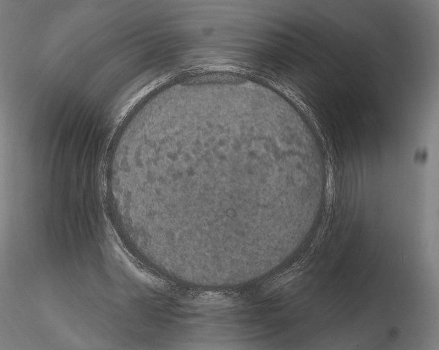 X0000115070390200912081153