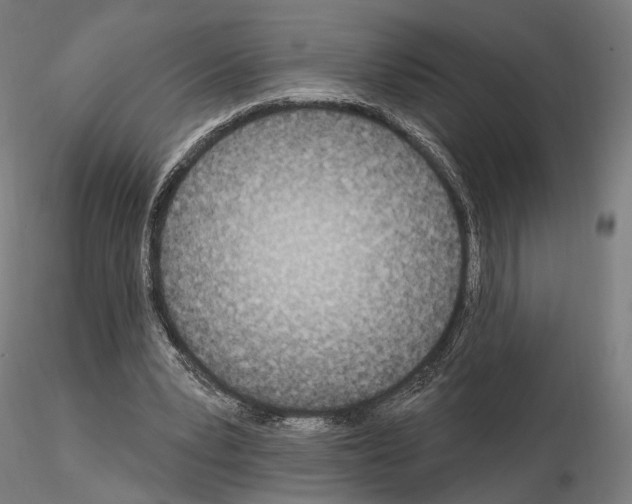 X0000115070391200912081153