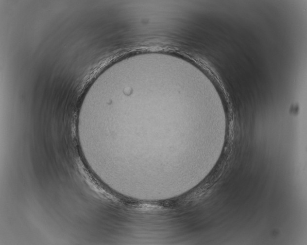 X0000115070393200912081152