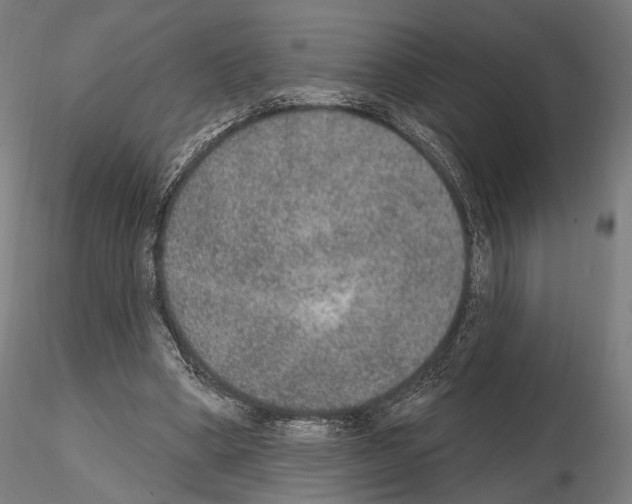 X0000115070394200912081152