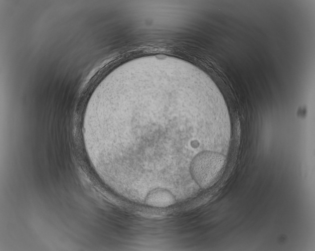 X0000115070396200912081152
