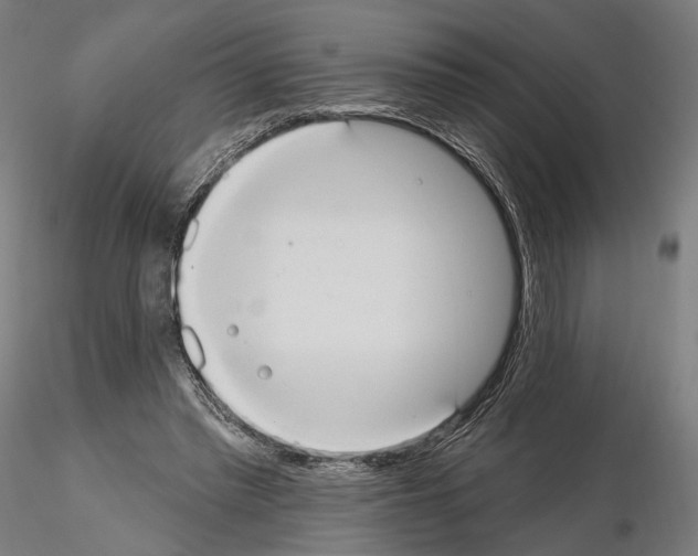 X0000115070397200912081152