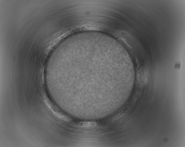 X0000115070398200912081152