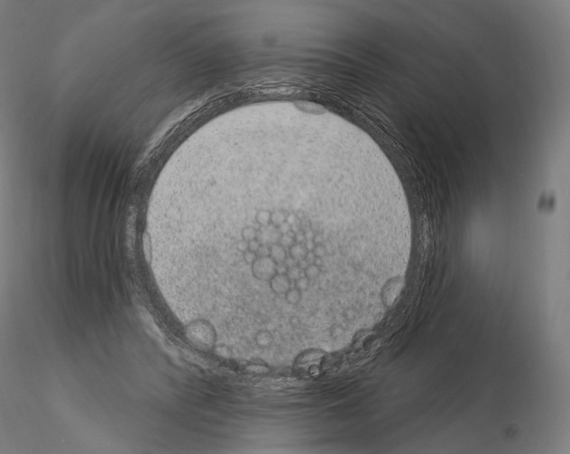 X0000115070400200912081152