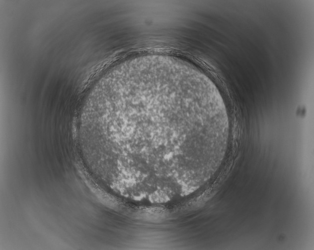 X0000115070401200912081152