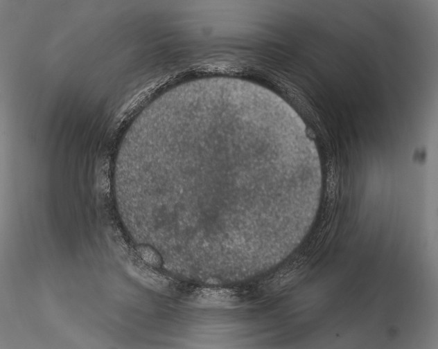X0000115070403200912081152