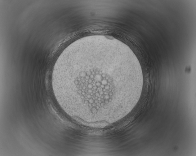 X0000115070404200912081152