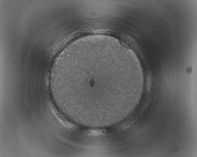 X0000115070405200912081152