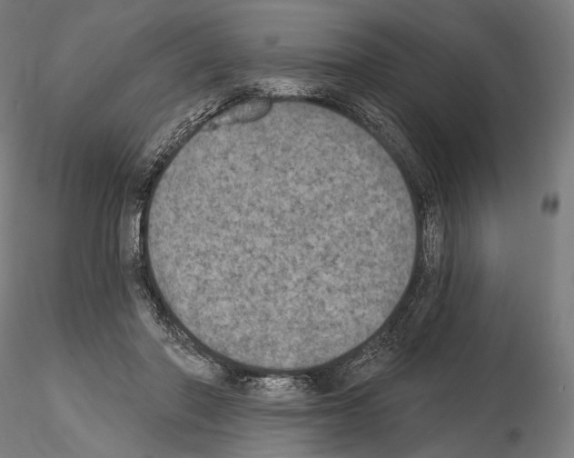 X0000115070406200912081152