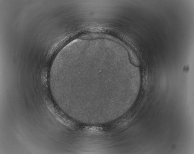 X0000115070407200912081152