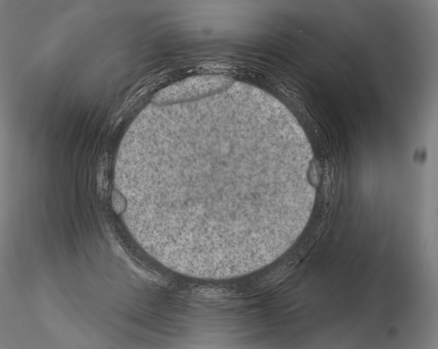 X0000115070408200912081152