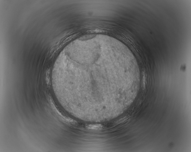 X0000115070410200912081152