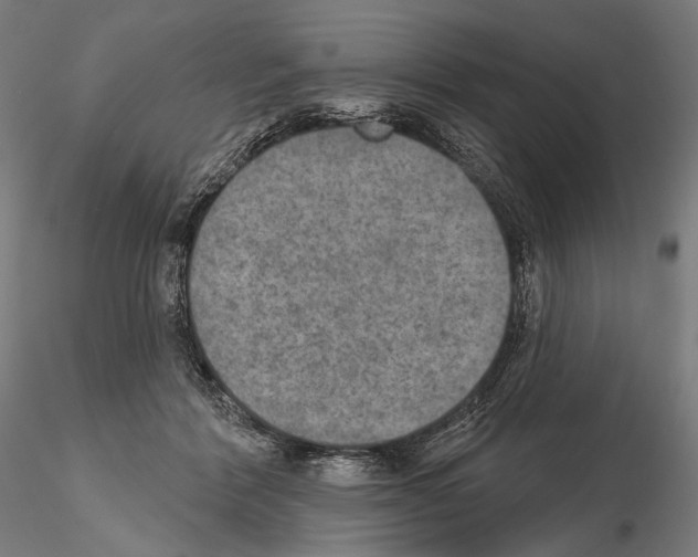 X0000115070412200912081152