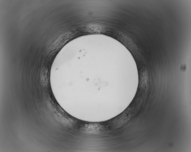X0000115070414200912081152