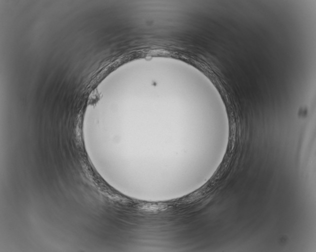 X0000115070415200912081152