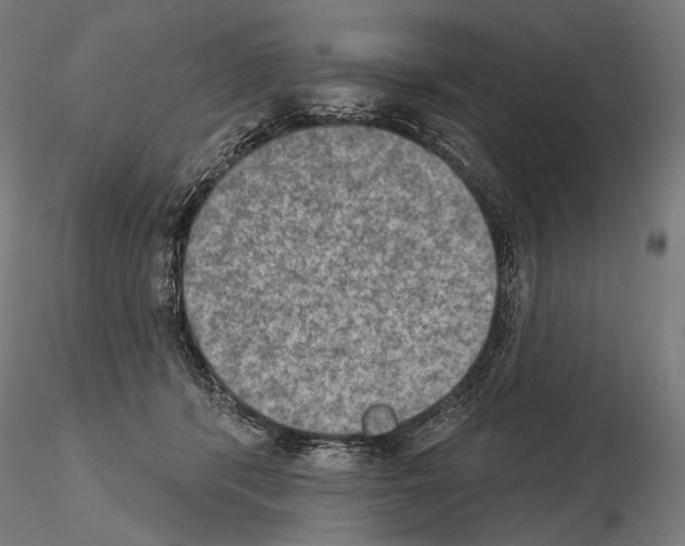 X0000115070416200912081152