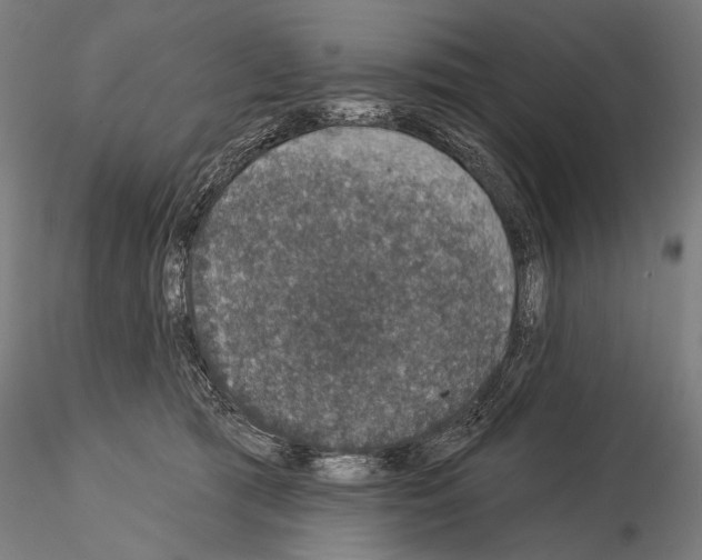 X0000115070417200912081152