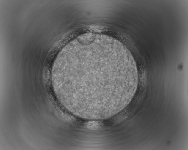 X0000115070418200912081152
