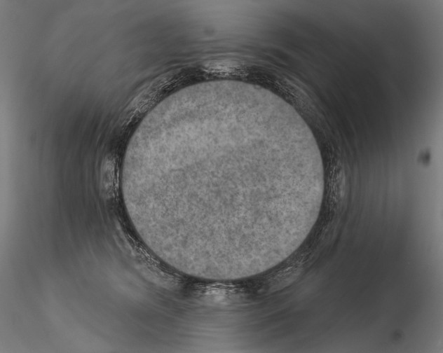 X0000115070420200912081152