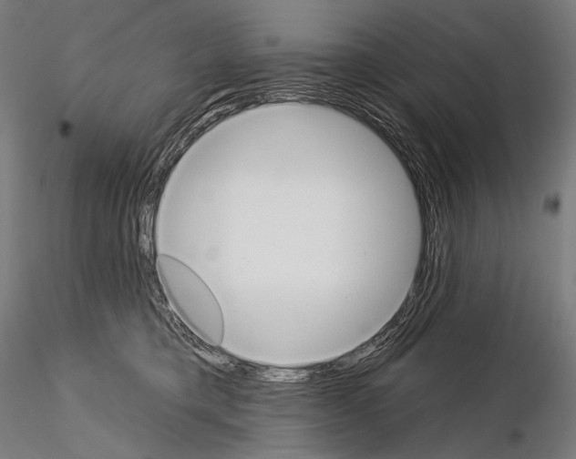 X0000115070421200912081152