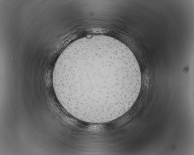 X0000115070422200912081152