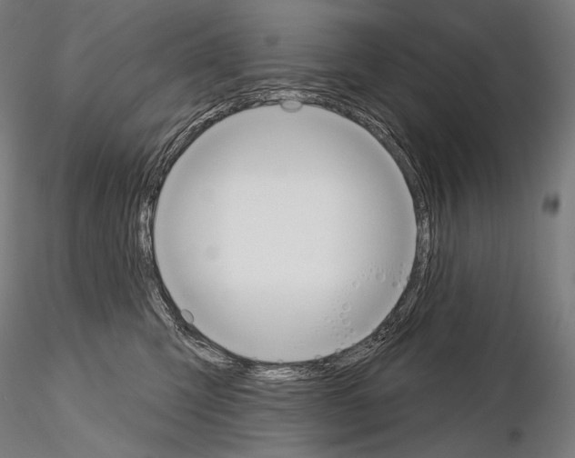X0000115070423200912081152