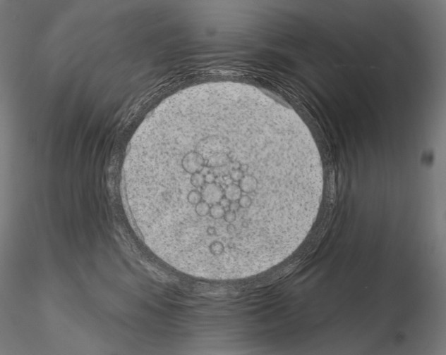 X0000115070424200912081152