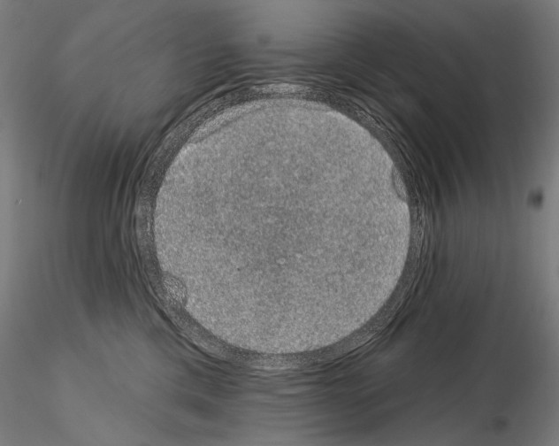 X0000115070425200912081152