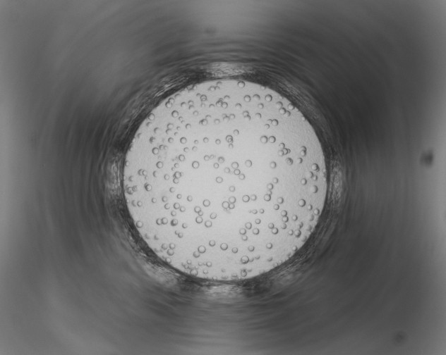 X0000115070426200912081152