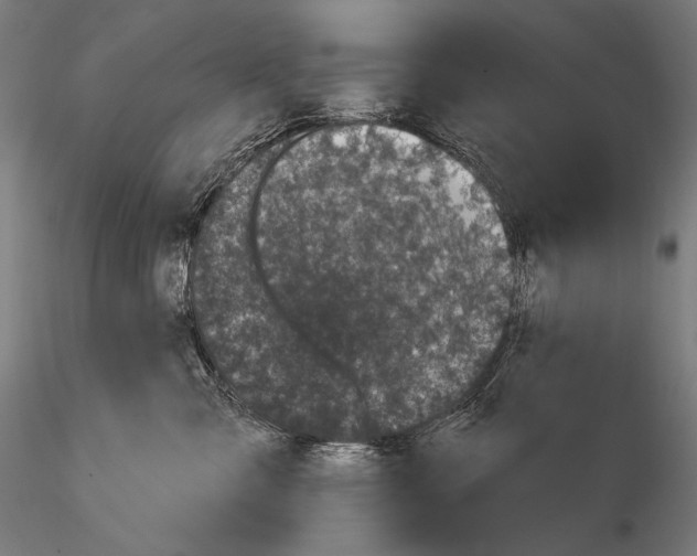 X0000115070427200912081152