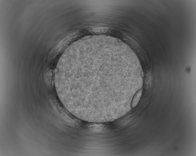 X0000115070428200912081152